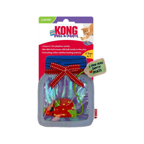 Kong Jams Pull-A-Partz - CPP13 Assorted