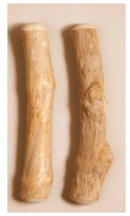 Canophera: Dog Chew Stick: Coffee Tree Wood