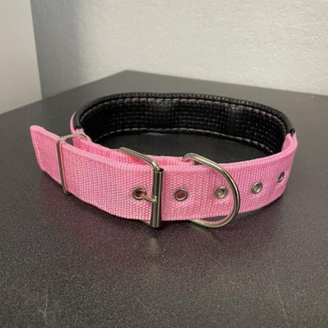 Dog Collar - 24" Medium Cushioned