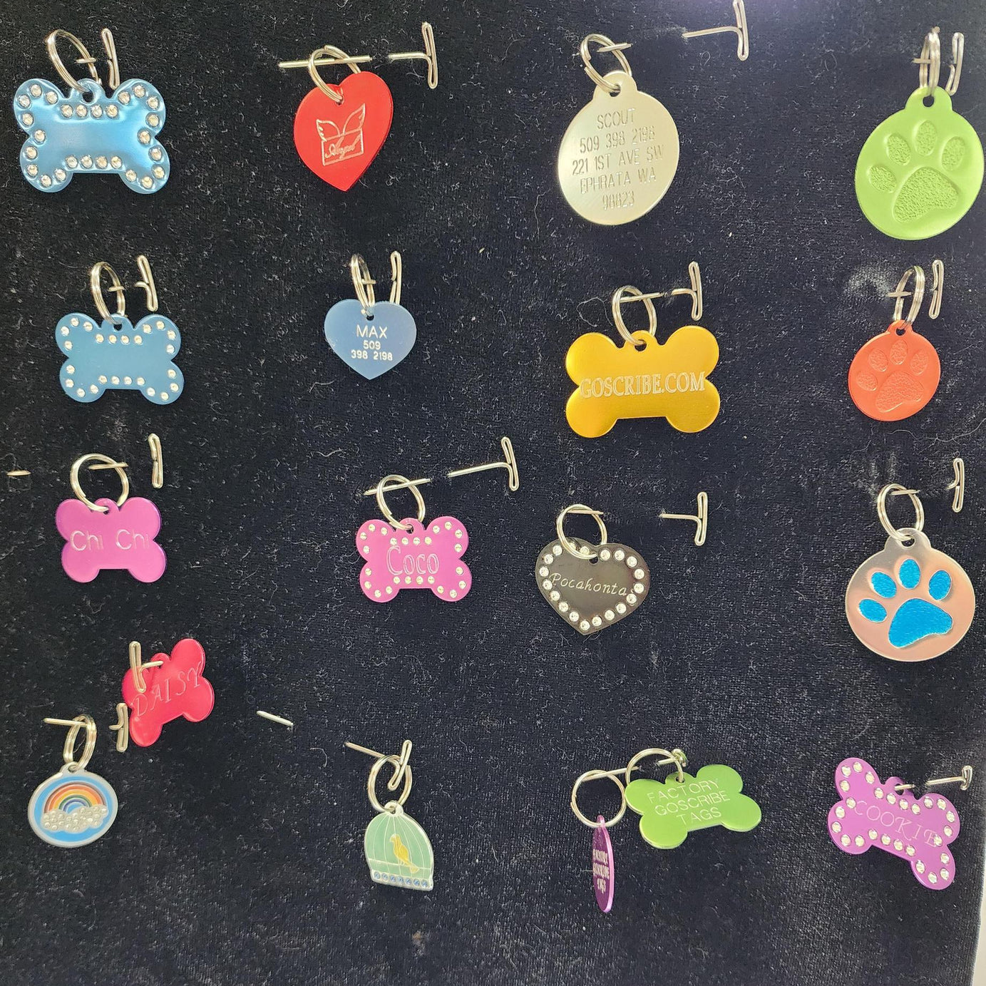 Go Scribe Animal Tags