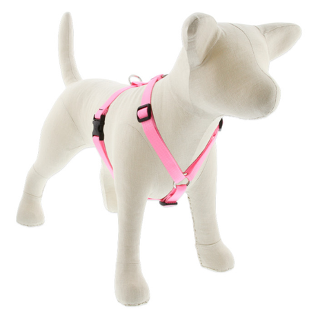 Lupine Basic Solids Roman Dog Harness 3/4" wide
