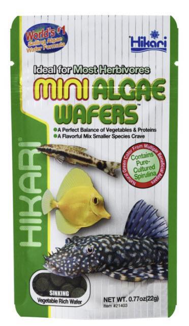 Hikari USA Algae Wafers Sinking Wafer Fish Food