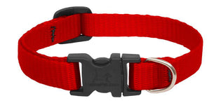 Lupine Basics 1/2 Adj Collar 6-9 - Mr Mochas Pet Supplies