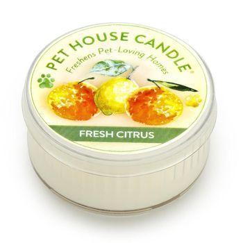 Pet House Candle Fresh Citrus - Mr Mochas Pet Supplies