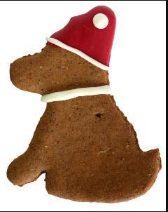 Preppy Puppy Christmas Dog