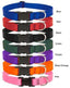 Lupine Basics 3/4 Collar 15-25 - Mr Mochas Pet Supplies