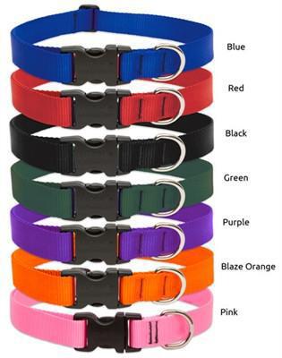 Lupine Basics 3/4 Collar 15-25 - Mr Mochas Pet Supplies