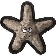 Snugarooz Baby Sophie the Starfish 5.5" - Mr Mochas Pet Supplies