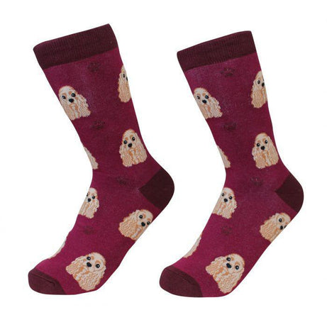 Pet Socks - Cocker Spaniel - Mr Mochas Pet Supplies