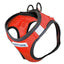 BayDog Liberty Bay Harness - Red