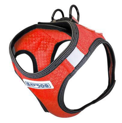 BayDog Liberty Bay Harness - Red