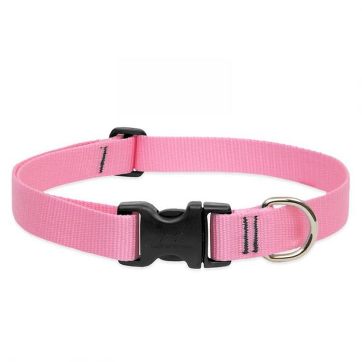 Lupine 1" Collar 16"- 28" Adj Pink - Mr Mochas Pet Supplies