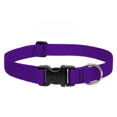Lupine 1in Purple 25-31 Adj Collar - Mr Mochas Pet Supplies