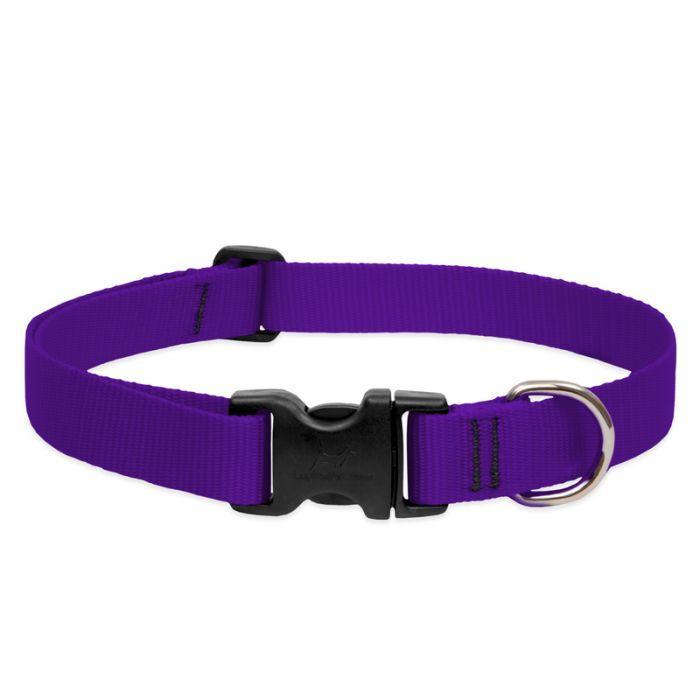 Lupine 3/4in 14-20 Martingale Training Collar