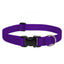 Lupine 3/4in 14-20 Martingale Training Collar