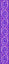 Lupine Pet - Jelly Roll