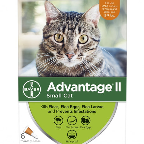 Elanco Advantage II Small Cat - Mr Mochas Pet Supplies
