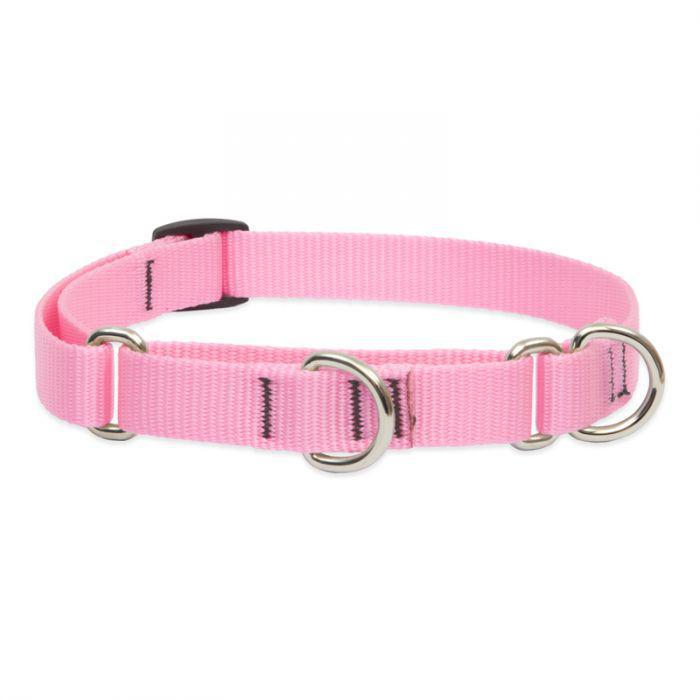 Lupine 3/4in Pink 14-20 Martingale Training Collar - Mr Mochas Pet Supplies