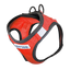 BayDog Liberty Bay Harness - Red