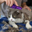 KONG Cat Zoom Groom - Mr Mochas Pet Supplies