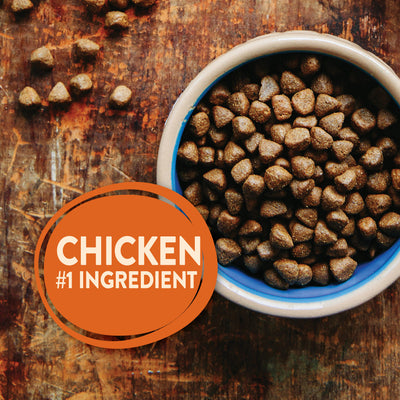 Wellness CORE Grain Free Natural Puppy Health Chicken & Turkey Recipe Dry Dog Food - Mr Mochas Pet Supplies