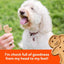 Buddy Biscuits Crunchy Grain Free Peanut Butter Dog Treats