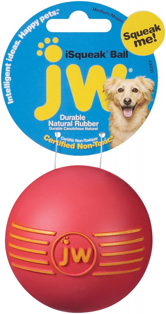 JW Pet iSqueak Ball Dog Toy - Mr Mochas Pet Supplies