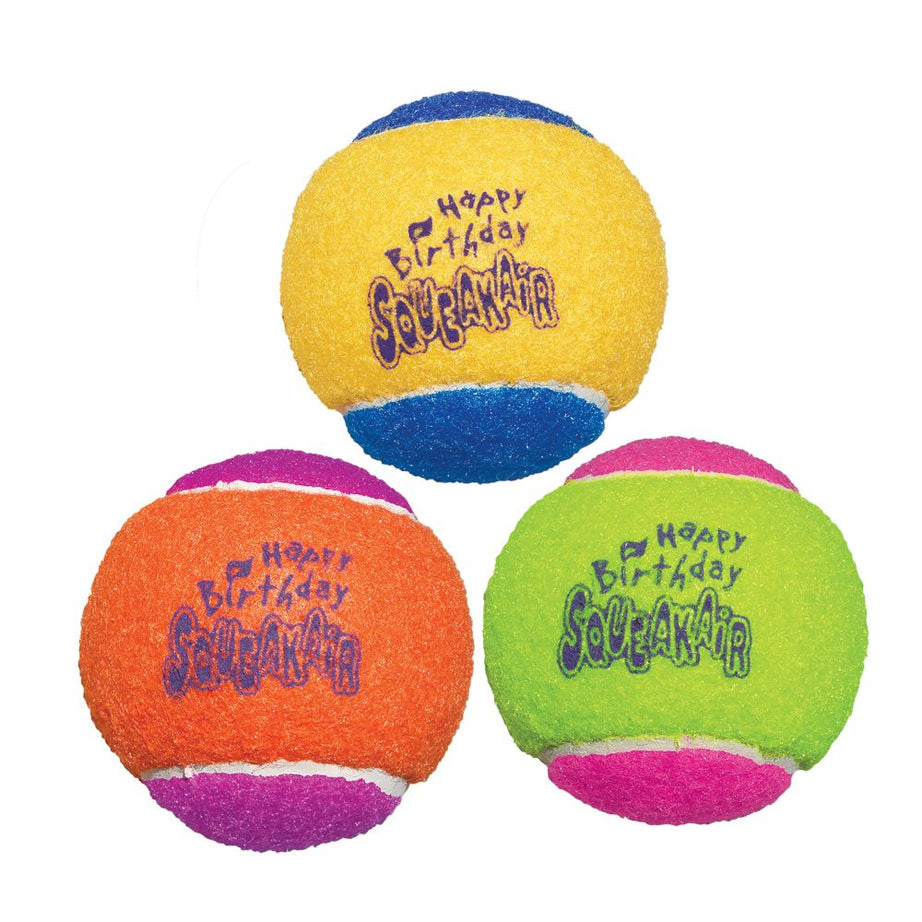 KONG AirDog Squeakair Birthday Balls Dog Toy - Mr Mochas Pet Supplies