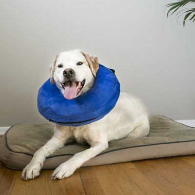 KONG Cloud Collar For Dogs - Mr Mochas Pet Supplies