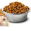 Farmina Ocean N&D Natural & Delicious Medium & Maxi Adult Cod, Spelt, Oats & Orange Dry Dog Food - Mr Mochas Pet Supplies