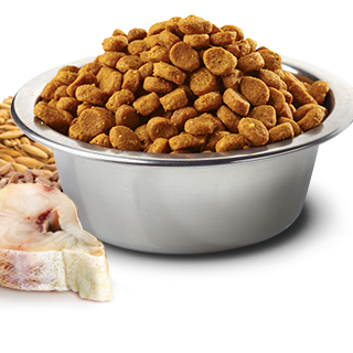 Farmina Ocean N&D Natural & Delicious Medium & Maxi Adult Cod, Spelt, Oats & Orange Dry Dog Food - Mr Mochas Pet Supplies