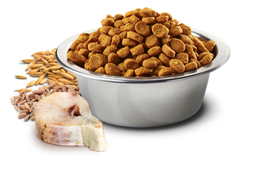 Farmina Ocean N&D Natural & Delicious Medium & Maxi Adult Cod, Spelt, Oats & Orange Dry Dog Food - Mr Mochas Pet Supplies