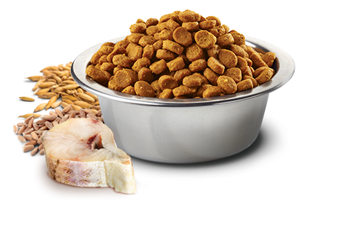 Farmina Ocean N&D Natural & Delicious Medium & Maxi Adult Cod, Spelt, Oats & Orange Dry Dog Food - Mr Mochas Pet Supplies