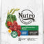Nutro Wholesome Essentials Large Breed Adult Pasture-Fed Lamb & Rice Dry Dog Food - Mr Mochas Pet Supplies