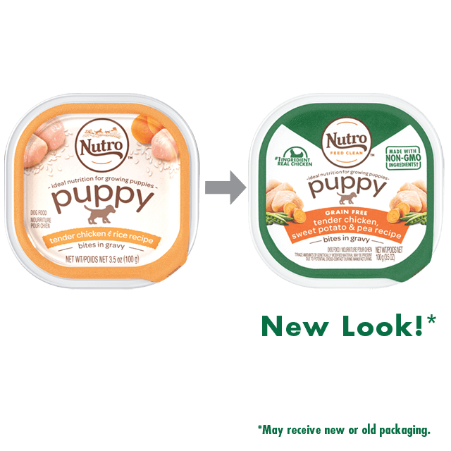 Nutro Puppy Tender Chicken & Rice Recipe Cuts In Gravy Dog Food Trays - Mr Mochas Pet Supplies
