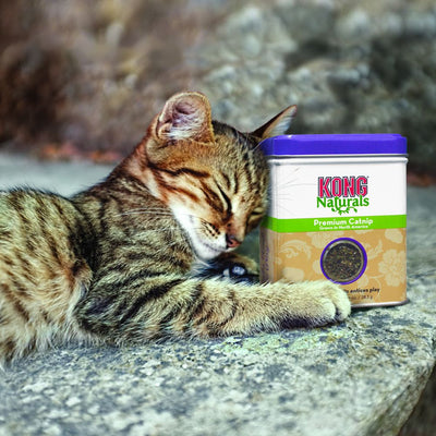 KONG Naturals Premium Catnip - Mr Mochas Pet Supplies