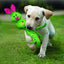 KONG Wubba Ballistic Friends Dog Toy - Mr Mochas Pet Supplies