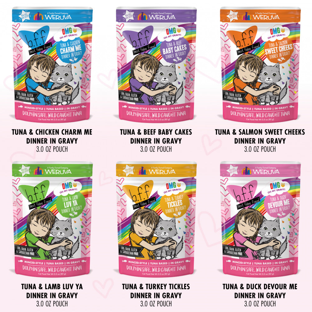 Weruva Grain Free BFF OMG Rainbow A Go Go Cat Variety Pouches Pack - Mr Mochas Pet Supplies