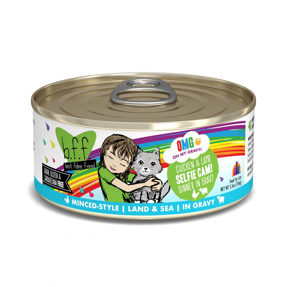 Weruva BFF Oh My Gravy Selfie Cam Grain Free Chicken & Lamb in Gravy Canned Cat Food - Mr Mochas Pet Supplies