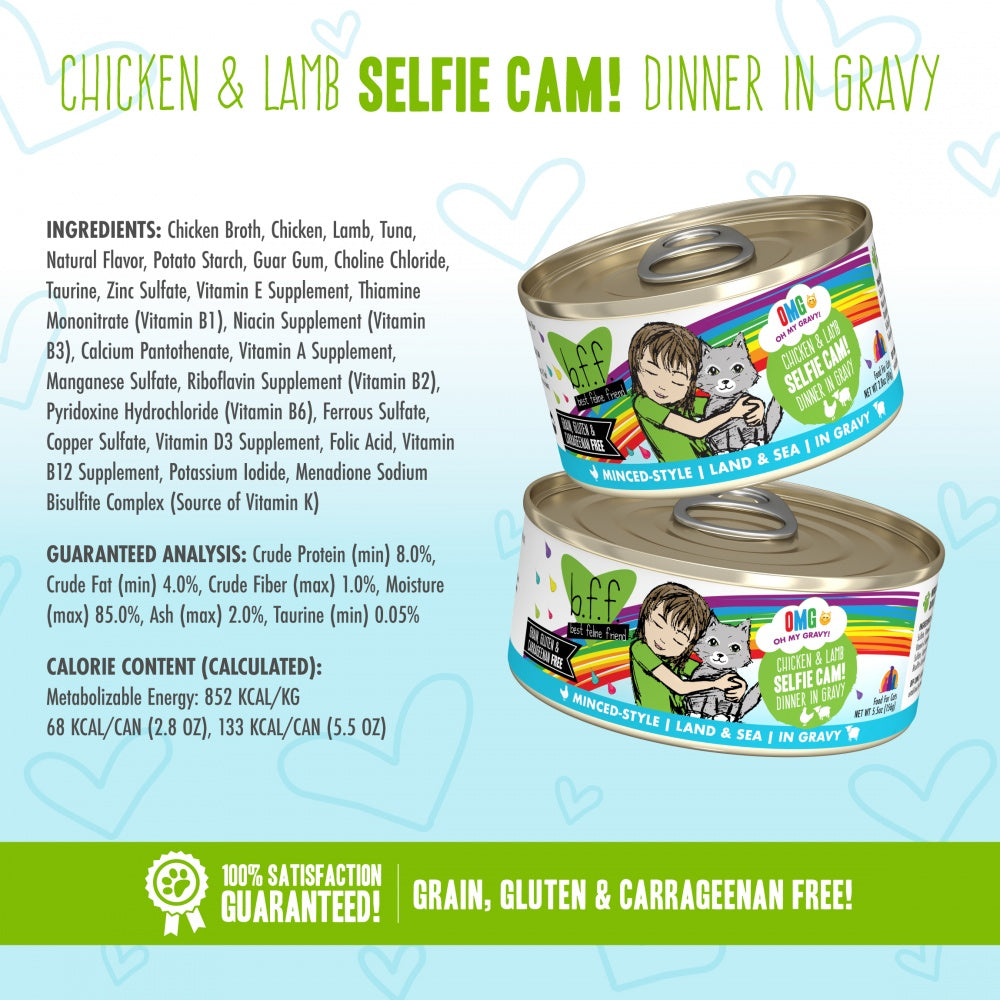Weruva BFF Oh My Gravy Selfie Cam Grain Free Chicken & Lamb in Gravy Canned Cat Food - Mr Mochas Pet Supplies