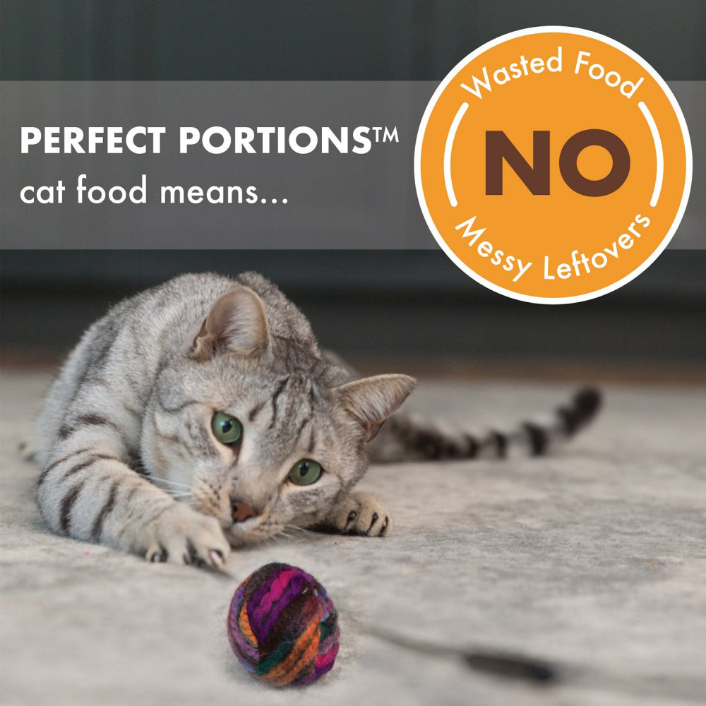 Nutro Perfect Portions Adult Grain Free Salmon & Chicken Pate Wet Cat Food Trays - Mr Mochas Pet Supplies