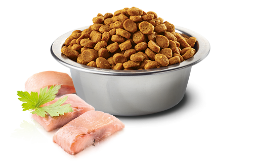 Farmina Ocean N&D Natural & Delicious Grain Free Mini Adult Herring & Orange Dry Dog Food - Mr Mochas Pet Supplies