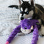 ZippyPaws Monkey RopeTugz Plush Dog Toy - Mr Mochas Pet Supplies