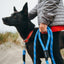 ZippyPaws Original Climbers 6 ft Dog Leash - Mr Mochas Pet Supplies