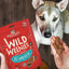 Stella & Chewy's Wild Weenies Grain Free Lamb Recipe Freeze Dried Raw Dog Treats - Mr Mochas Pet Supplies