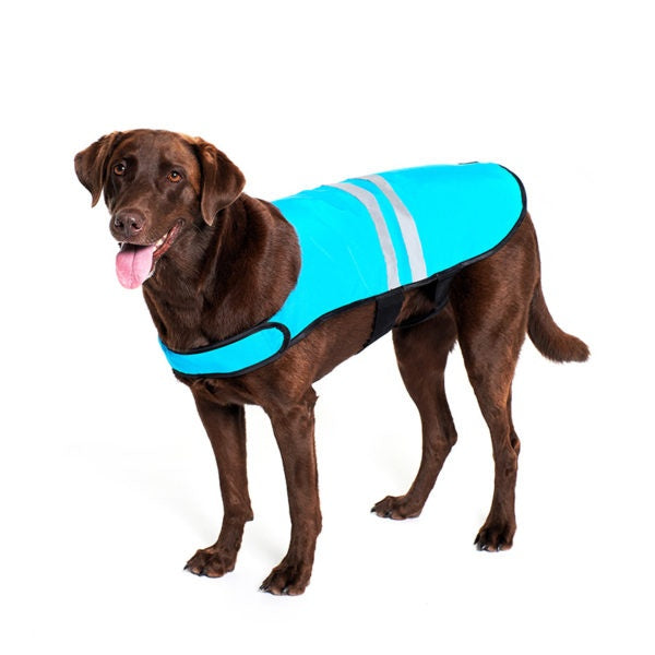 ZippyPaws Adventure Gear Blue Cooling Dog Vest - Mr Mochas Pet Supplies