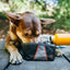 ZippyPaws Adventure Bowl For Dogs - Mr Mochas Pet Supplies