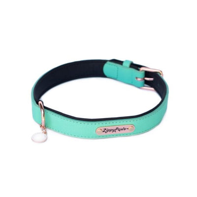 ZippyPaws Vivid Collection Teal Dog Collar - Mr Mochas Pet Supplies