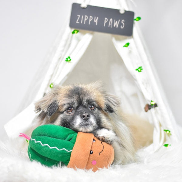 ZippyPaws Carmen the Cactus Plush Dog Toy - Mr Mochas Pet Supplies