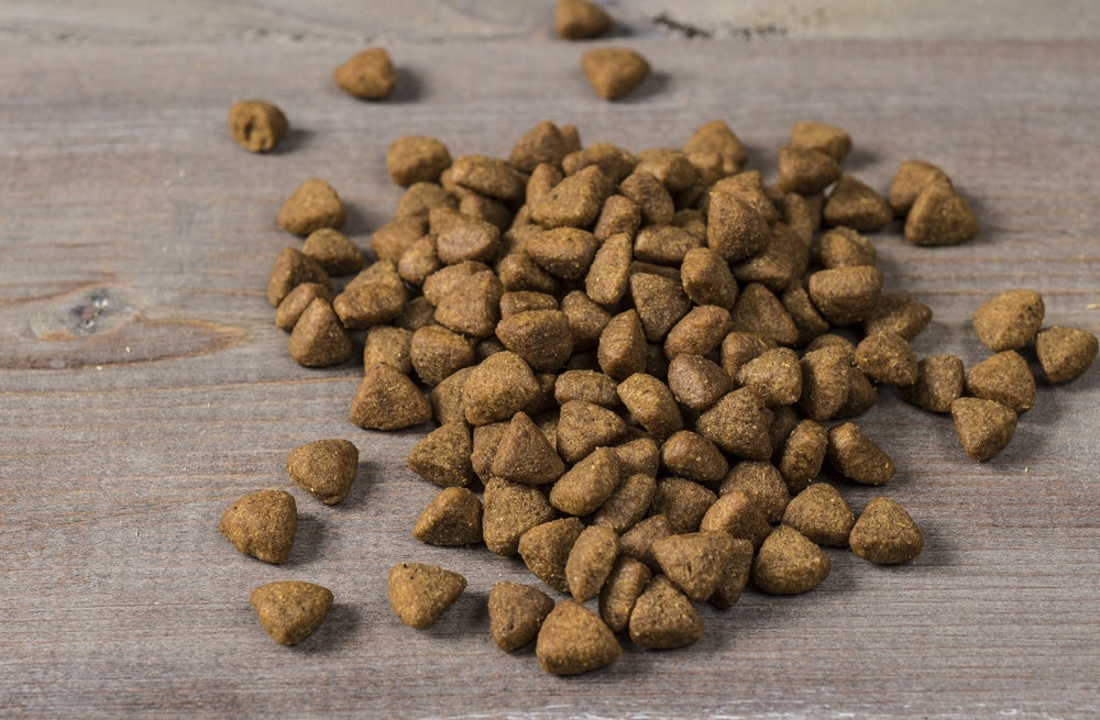Nulo FreeStyle Limited+ Grain Free Alaska Pollock & Lentils Recipe Puppy & Adult Dry Dog Food - Mr Mochas Pet Supplies